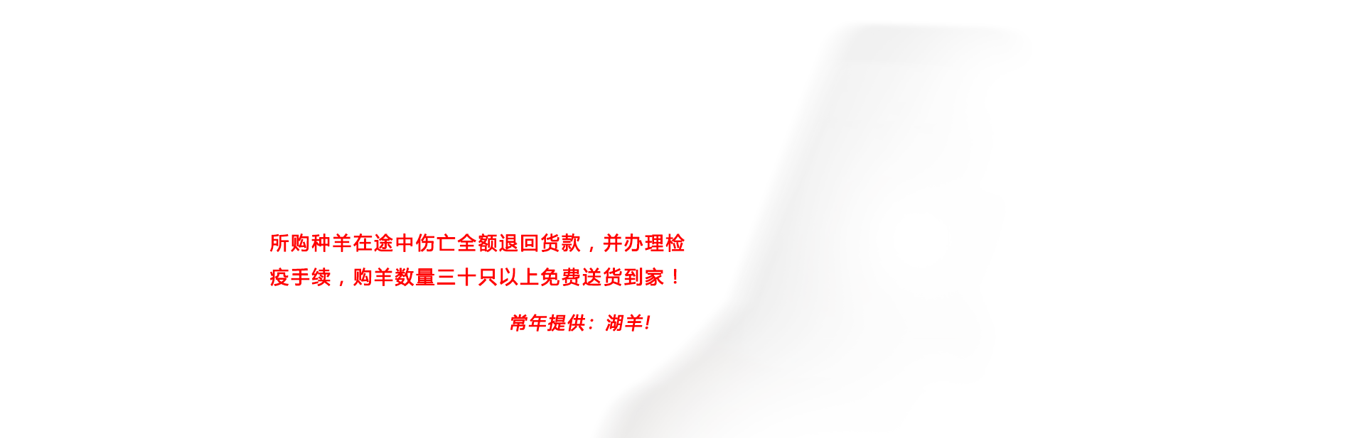 安徽省田豐牧業(yè)科技有限公司